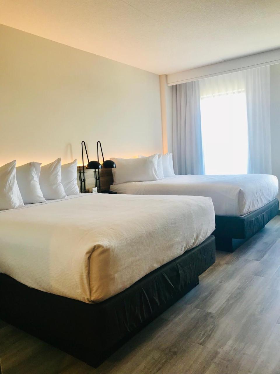 ホテル Wyndham Garden Ft Lauderdale Airport & Cruise Port デイニア・ビーチ エクステリア 写真
