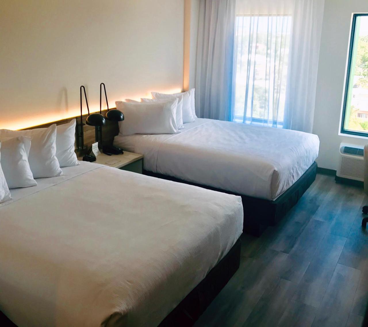 ホテル Wyndham Garden Ft Lauderdale Airport & Cruise Port デイニア・ビーチ エクステリア 写真